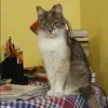 Отзыв от Елизавета Руднева